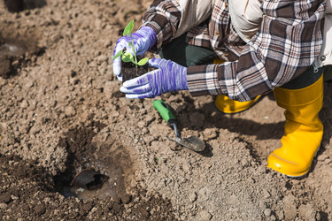 Similar image 22151244