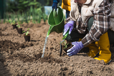 Similar image 22151246