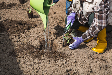 Similar image 22151247