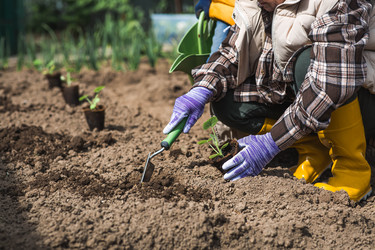 Similar image 22151248