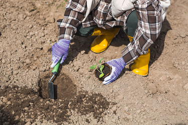 Similar image 22151250