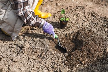 Similar image 22151251