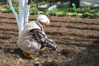 Similar image 22151252