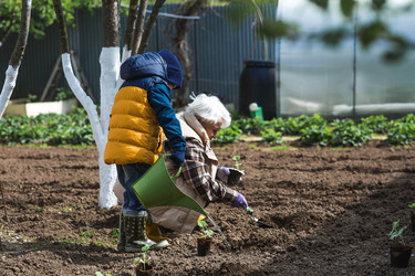 Similar image 22151253