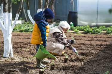 Similar image 22151255