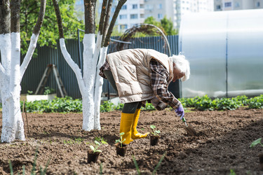 Similar image 22151256