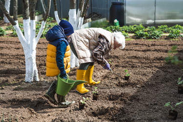 Similar image 22151257