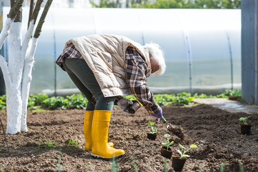 Similar image 22151258