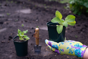 Similar image 22152324