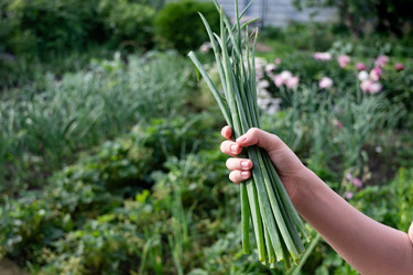 Similar image 22152326