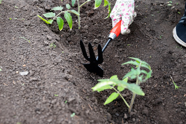 Similar image 22152329