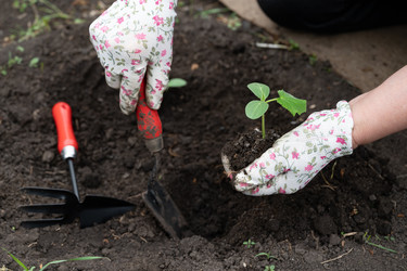 Similar image 22152331