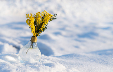 Similar image 22152333