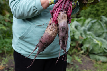 Similar image 22152334