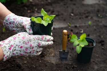 Similar image 22152335