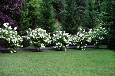 Similar image 22152340