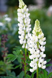 Similar image 22152345