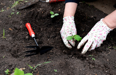 Similar image 22152347