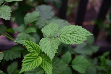 Similar image 22152350