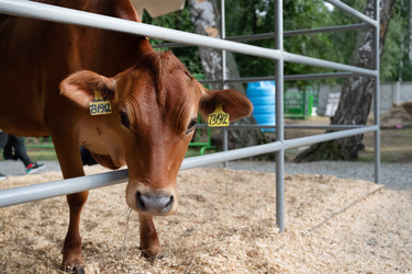 Similar image 22152352