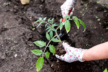 Similar image 22152353