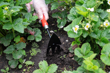 Similar image 22152357