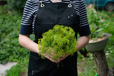 Similar image 22152358