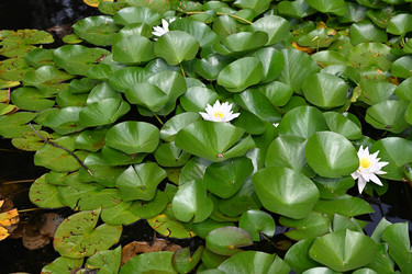 Similar image 22152359