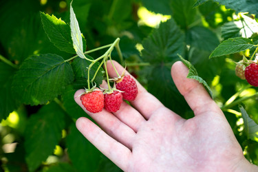 Similar image 22152362