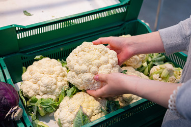 Similar image 22152366