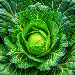 Similar image 22166801