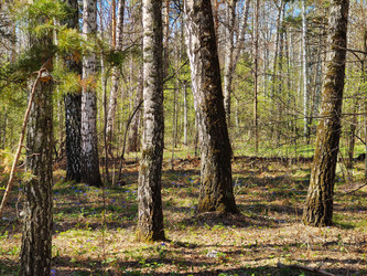 Similar image 22144420