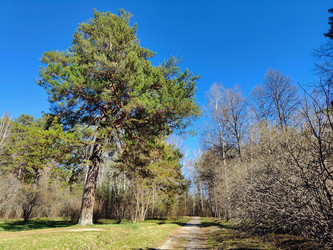 Similar image 22144422