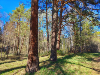 Similar image 22144424