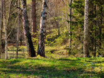 Similar image 22144425