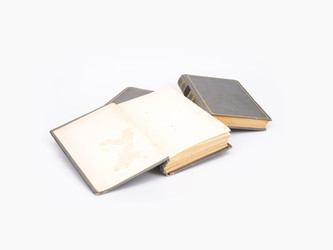 Similar image 22148184