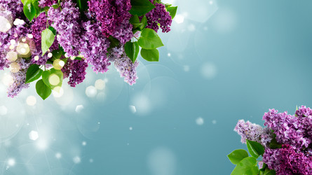 Similar image 22165135