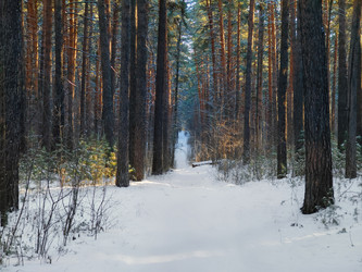 Similar image 22147977