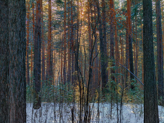 Similar image 22147978