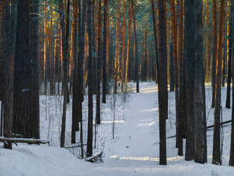 Similar image 22147979