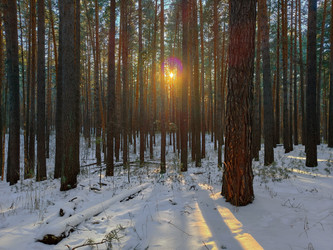 Similar image 22147980