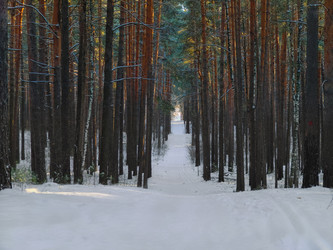 Similar image 22147981