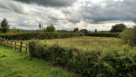 Similar image 22166828