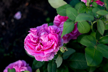 Similar image 22152368