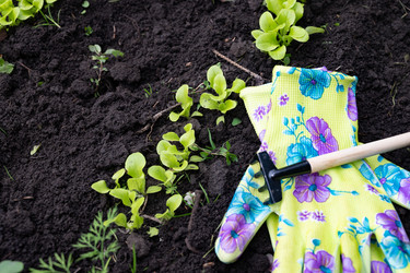 Similar image 22152871