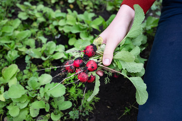 Similar image 22152873