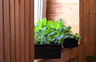 Similar image 22152874