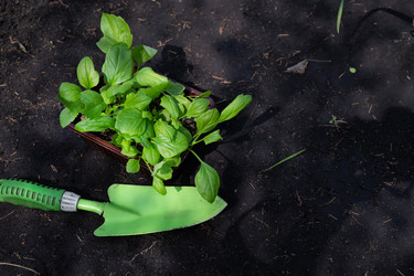 Similar image 22152875