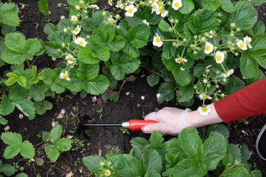 Similar image 22152876