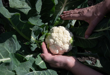 Similar image 22152878